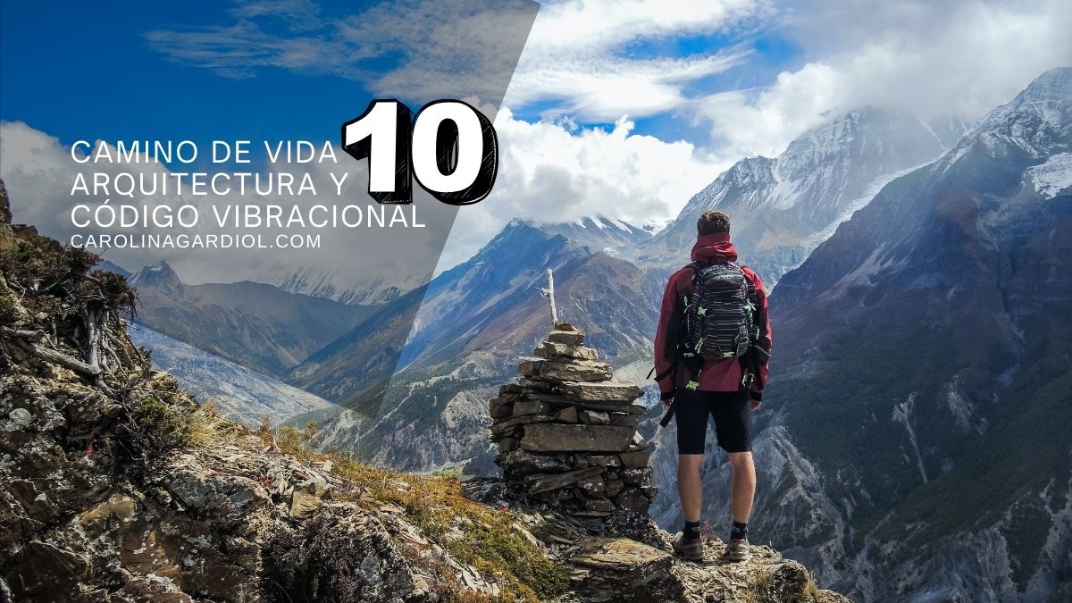 Código 10: Arquitectura de Nuevos Comienzos y Expansión