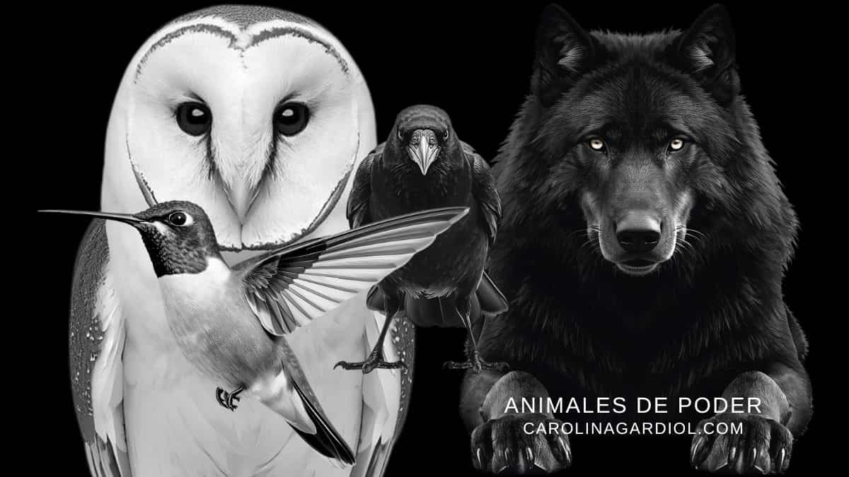 Vibración animales poder