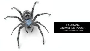 La Araña, animal de poder y el diseño de la red de libertad.