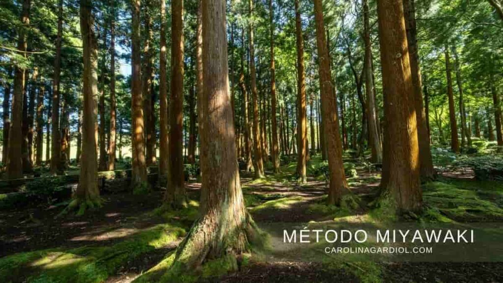 Método Miyawaki Agrojarditectura Carolina Gardiol