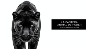 Significado Espiritual Pantera Animal de Poder Carolina Gardiol.