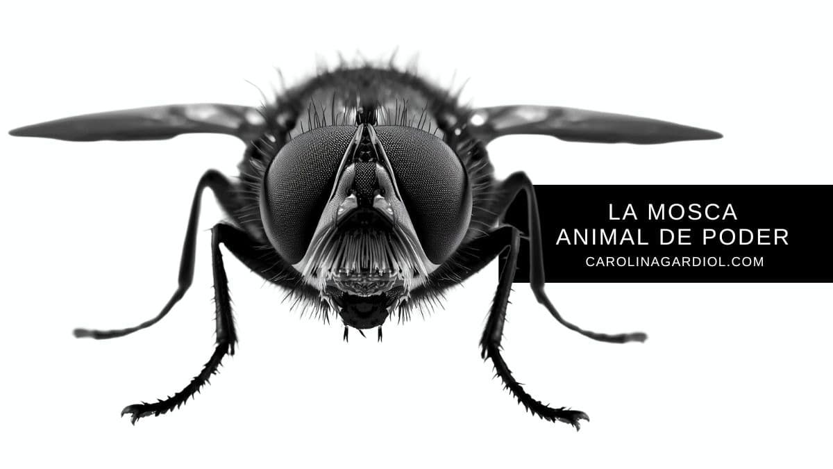 Tótem de la Mosca: Visión 360 y el Manual de la Libertad