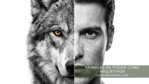 Fusión arquetípica frontal de lobo y hombre en la Arquitectura del Ser por Carolina Gardiol.
