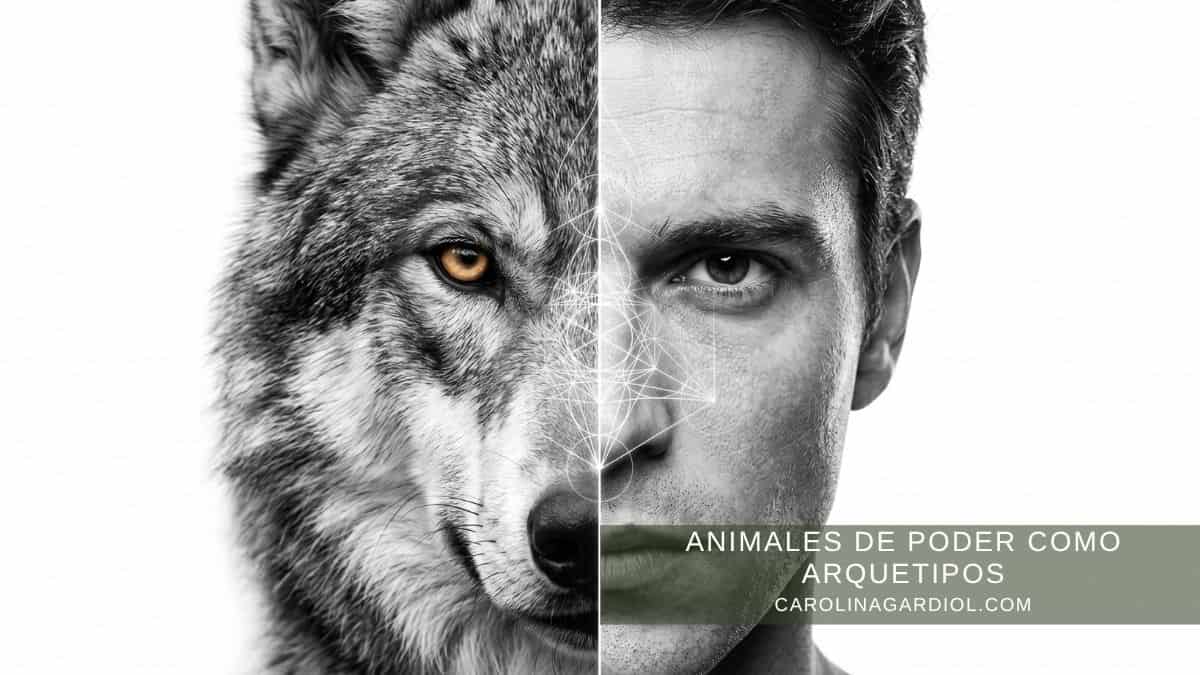 Arquetipos Animales de Poder