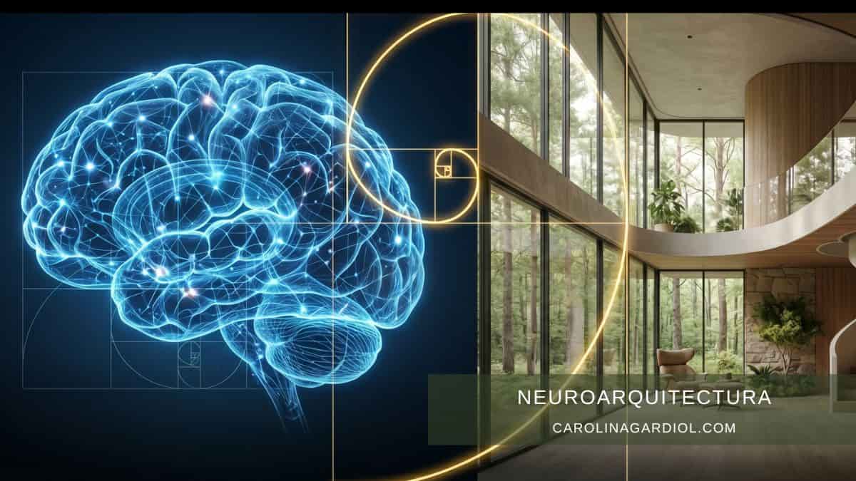 Neuroarquitectura: Diseñar espacios para el bienestar