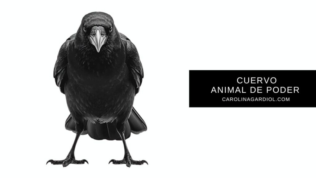 El cuervo como animal de poder y tótem de transformación por Carolina Gardiol.