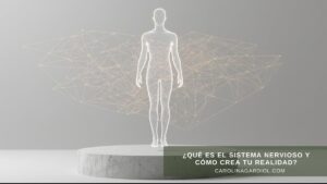 Conexión entre el sistema nervioso, la arquitectura vibracional y la realidad por Carolina Gardiol.