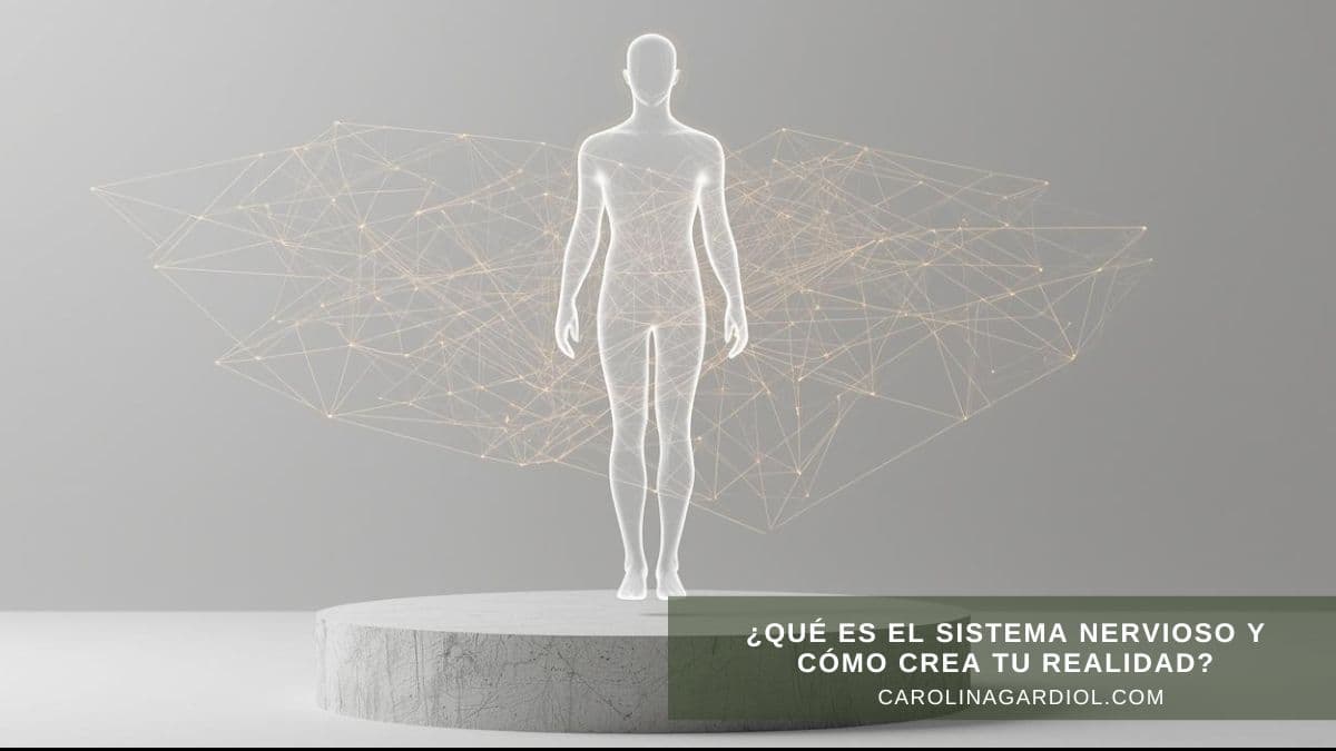 ¿Qué es el sistema nervioso y cómo crea tu realidad?